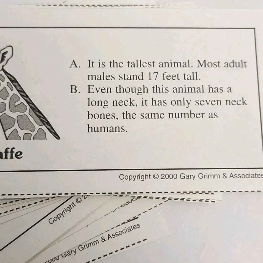 Zoo Animal JINGO Bingo Style Game Gary Grimm & Assoc GGA096 Children Kids 2000